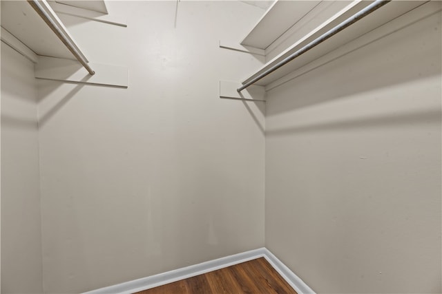 spacious closet featuring dark wood-type flooring