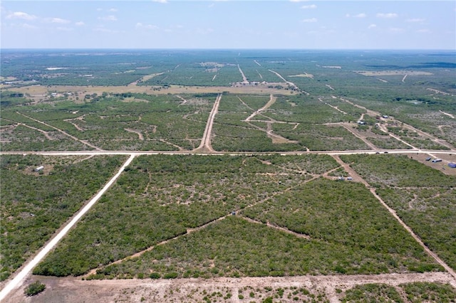0 Polzin Ranch Rd, George West, TX 78022 - photo 4