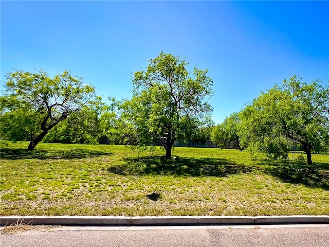 1447 Lewis St, Kingsville TX, 78363 land for sale