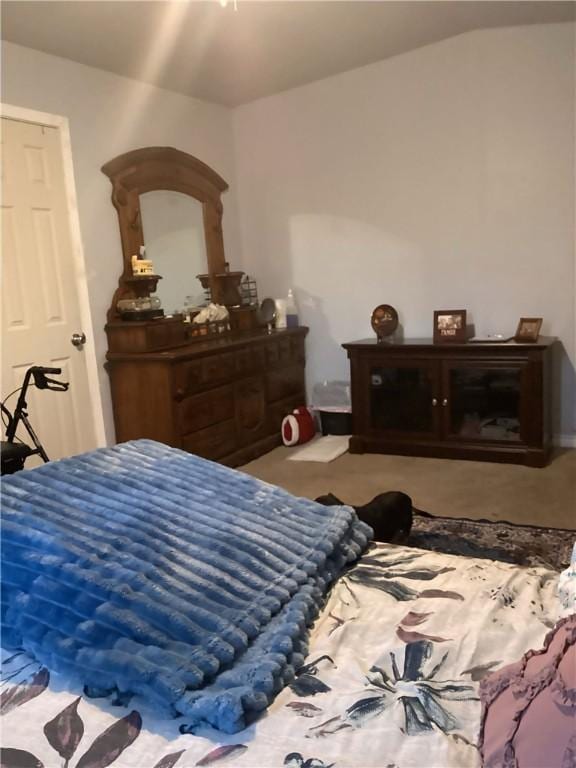 bedroom with carpet