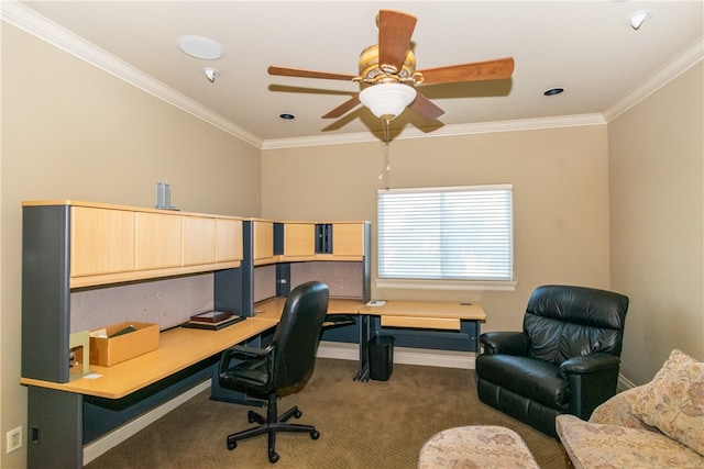 office space featuring carpet flooring, ceiling fan, and crown molding