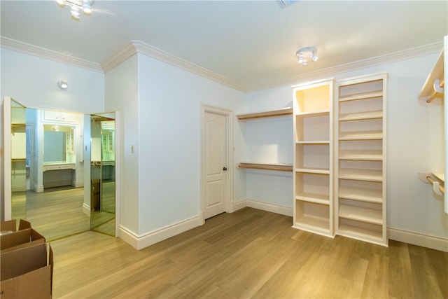 spacious closet featuring light wood-type flooring