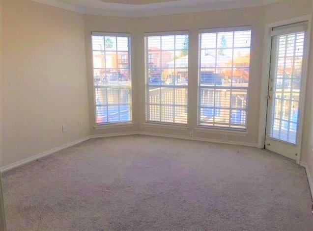 carpeted empty room with plenty of natural light, baseboards, and crown molding