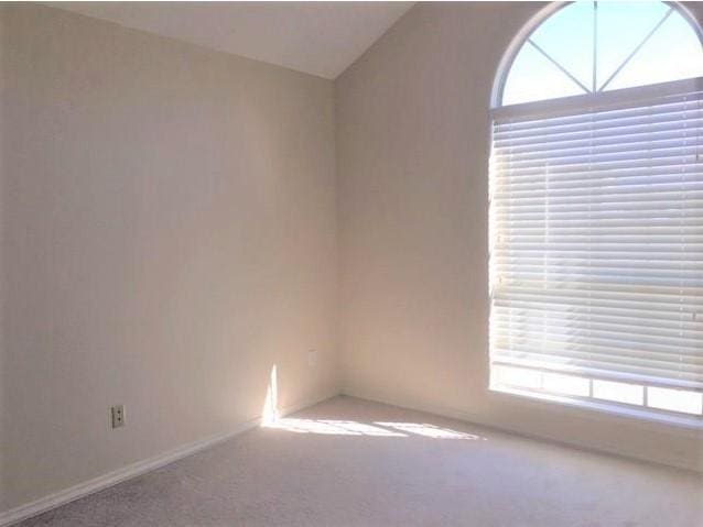 spare room with lofted ceiling and carpet