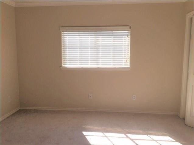 spare room featuring ornamental molding, light colored carpet, and baseboards