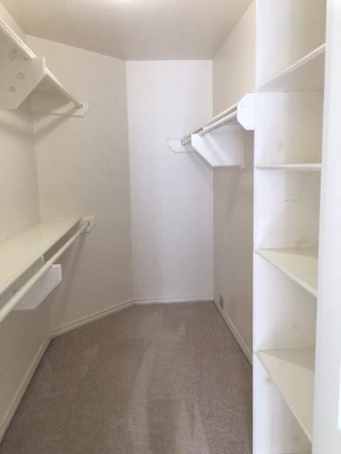 walk in closet featuring carpet floors