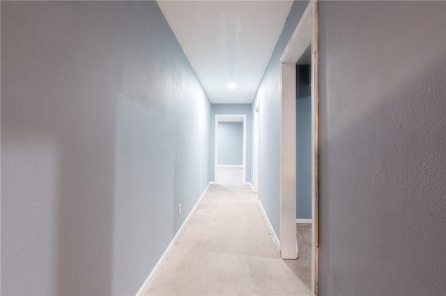 253 Melrose, Corpus Christi, TX 78404 - hall with baseboards