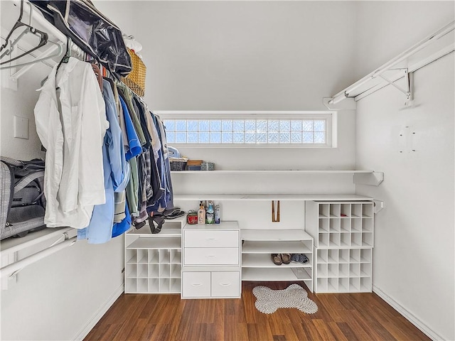 walk in closet with dark wood-type flooring