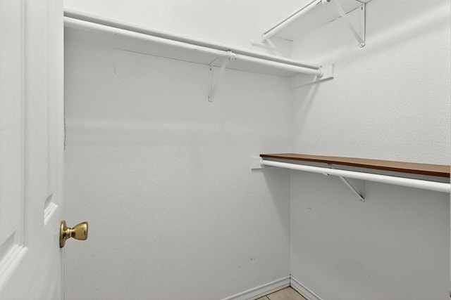 1225 Calle, San Carlos, Corpus Christi, TX 78417 - view of walk in closet
