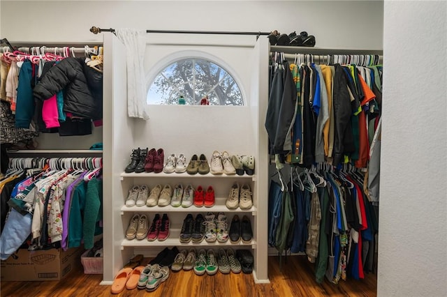 spacious closet with wood-type flooring