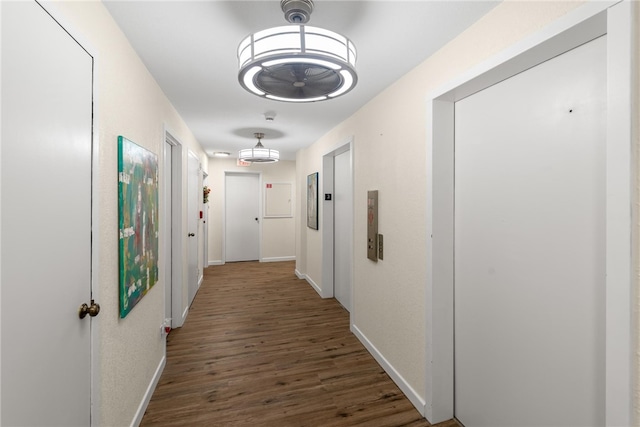 corridor featuring dark hardwood / wood-style flooring and elevator