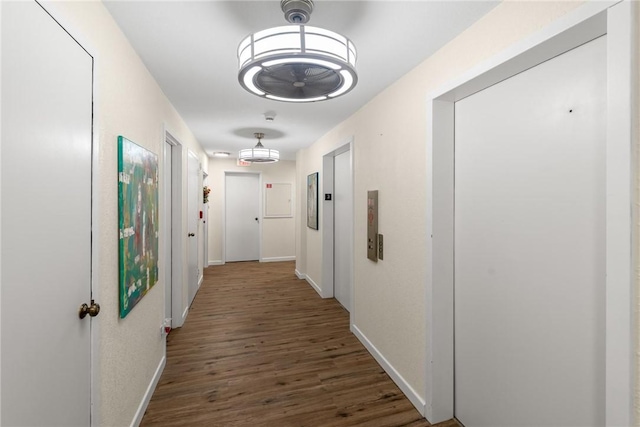 1400 Ocean Dr Unit 304C, Corpus Christi, TX 78404 - hall featuring wood finished floors and elevator