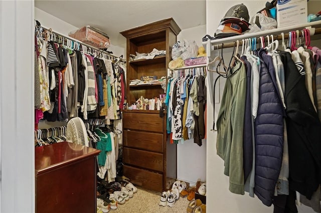 spacious closet featuring carpet floors