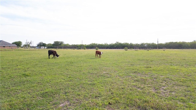 415 County Road 150, Alice, TX 78332 - photo 8