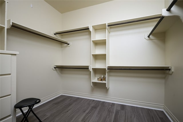 spacious closet featuring dark hardwood / wood-style flooring