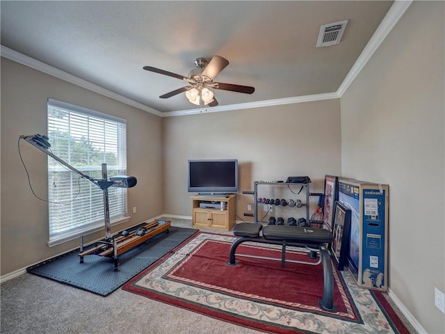 exercise area featuring visible vents, carpet, crown molding, and baseboards