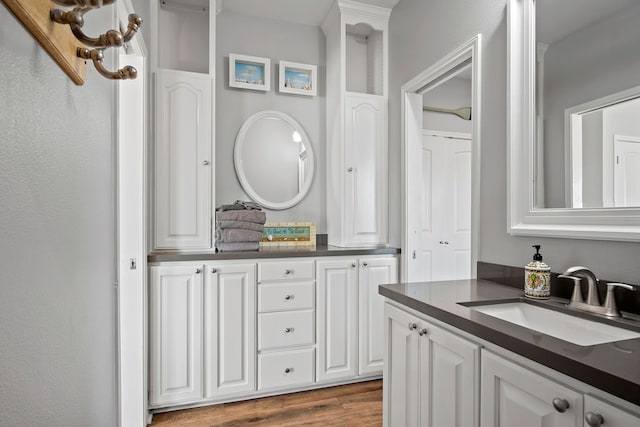 bathroom featuring wood finished floors and vanity