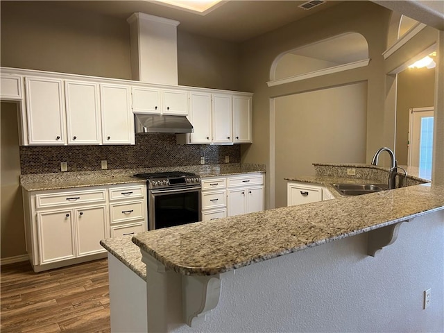 kitchen featuring sink, stainless steel gas range oven, wood-type flooring, decorative backsplash, and white cabinets