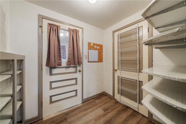 entryway featuring hardwood / wood-style floors