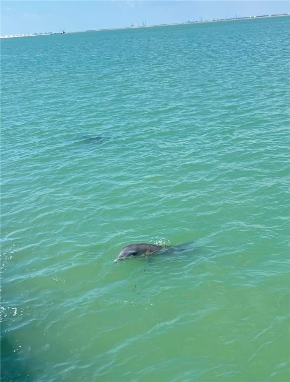 15354 Caravel Dr, Corpus Christi, TX 78418 - water view