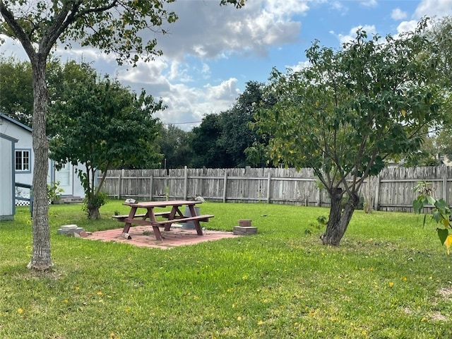 view of yard featuring a patio area
