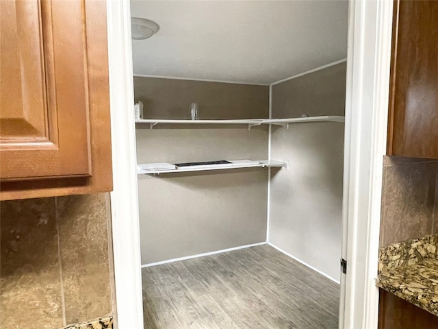 walk in closet featuring hardwood / wood-style floors