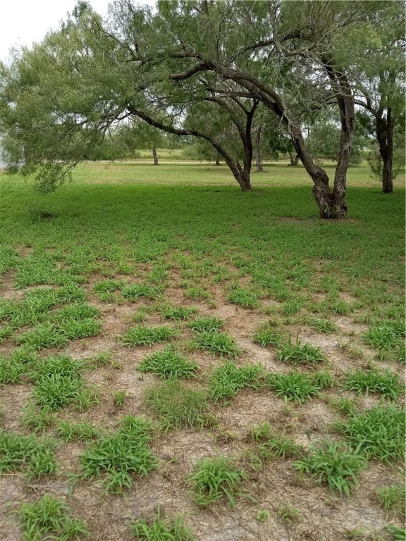 000 E Fm 628, Riviera TX, 78379 land for sale