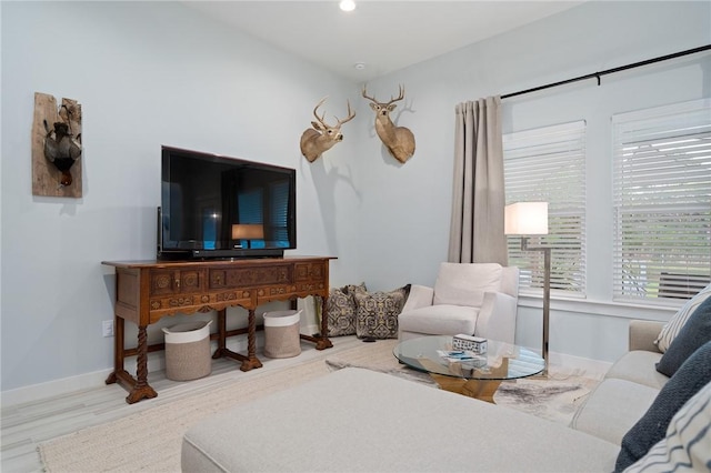 living room featuring hardwood / wood-style flooring