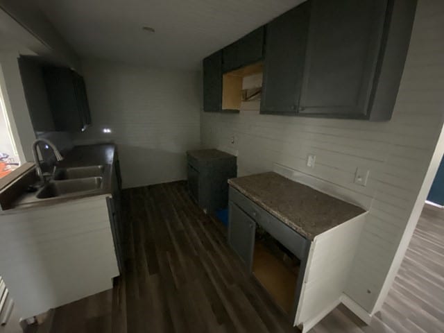 kitchen with dark hardwood / wood-style floors and sink