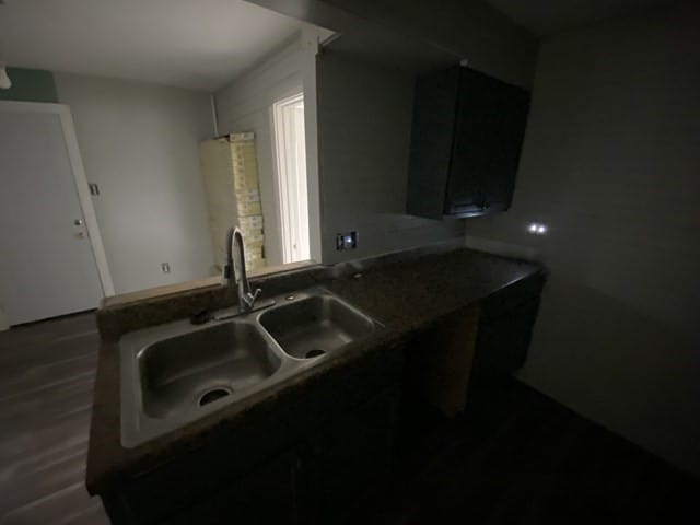 kitchen with dark hardwood / wood-style flooring and sink