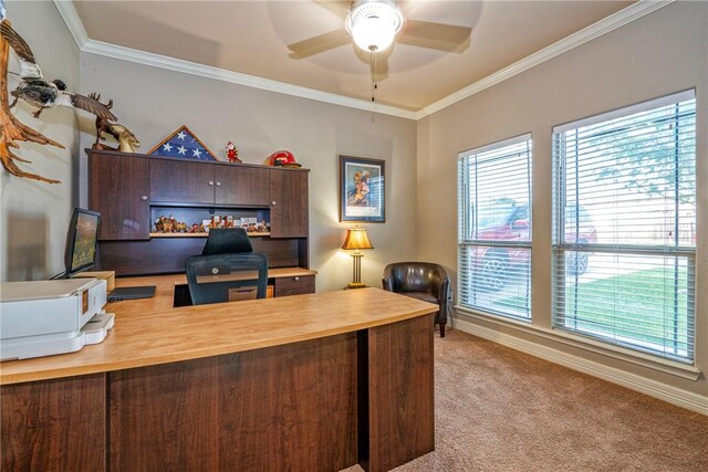 4522 Big Cyprus, Corpus Christi, TX 78410 - home office featuring carpet floors, a ceiling fan, crown molding, and baseboards
