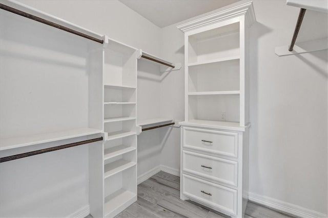 spacious closet featuring light wood finished floors