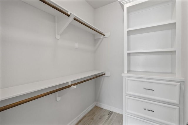 spacious closet featuring light wood-style floors