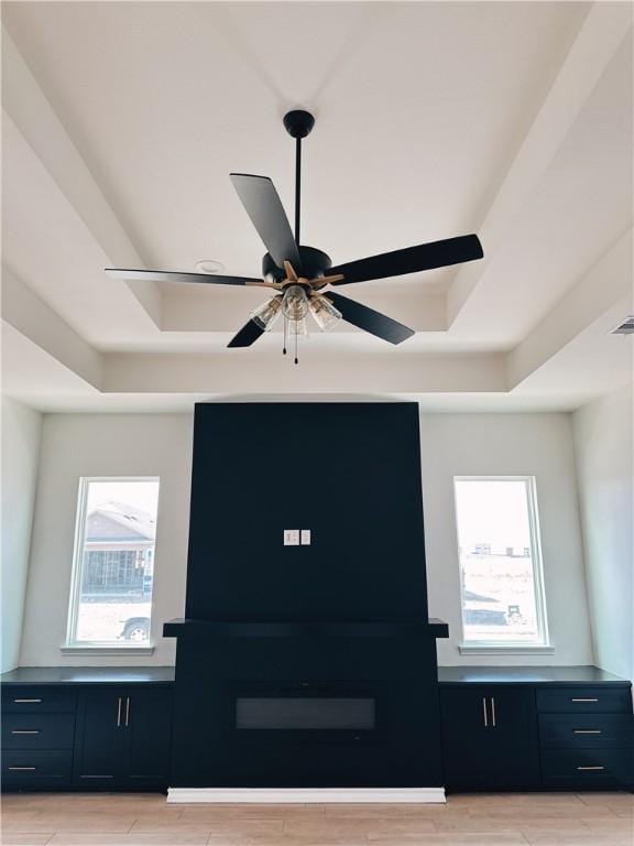 room details featuring a ceiling fan, a raised ceiling, and wood finished floors