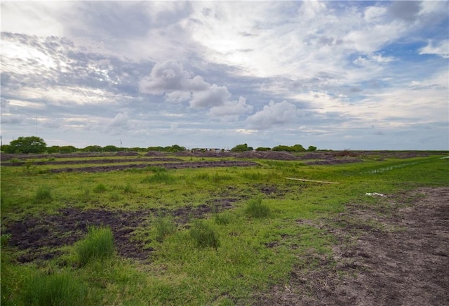 2049 Bernice Dr, Corpus Christi, TX 78415 - photo 2