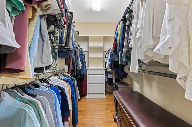 13805 Hawksnest Bay Dr, Corpus Christi, TX 78418 - walk in closet with light wood finished floors