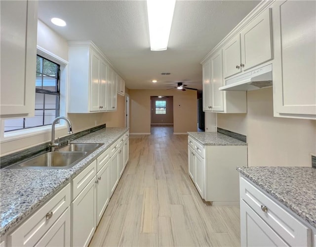 kitchen featuring white cabinetry, sink, ceiling fan, light stone counters, and light hardwood / wood-style flooring