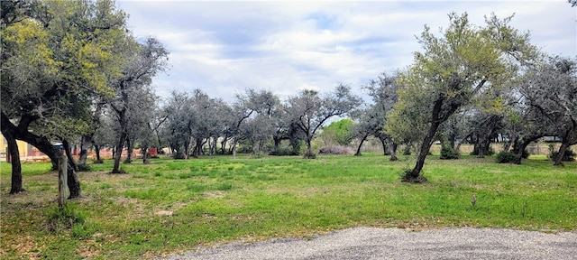 Listing photo 3 for 34 Oakshore Loop, Rockport TX 78382