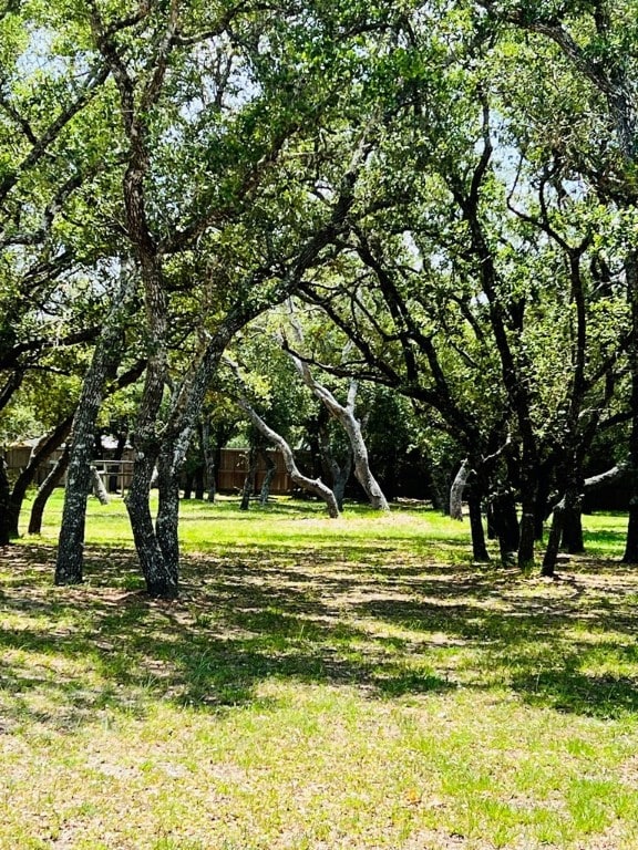 1413 W Corpus Christi St, Rockport, TX 78382 - photo 9