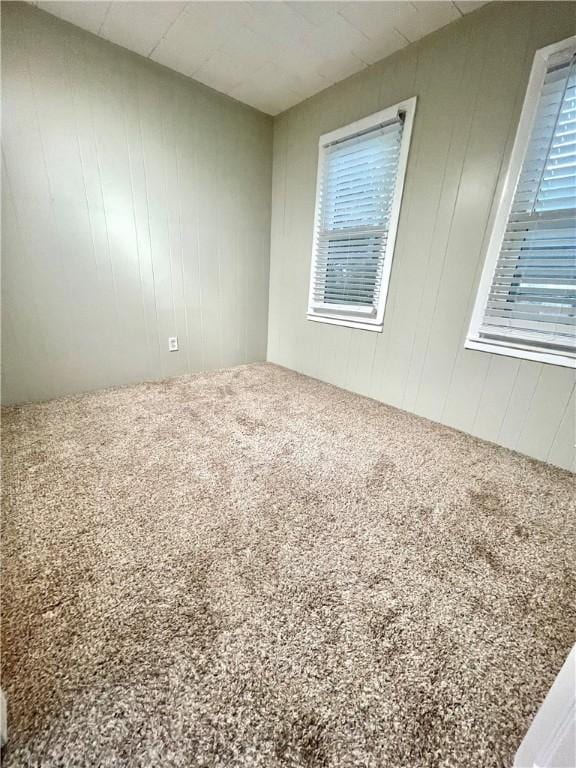 carpeted empty room with a healthy amount of sunlight and wood walls