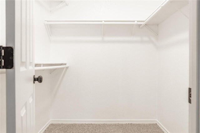 13948 Lighthouse Dr, Corpus Christi, TX 78418 - walk in closet with carpet flooring