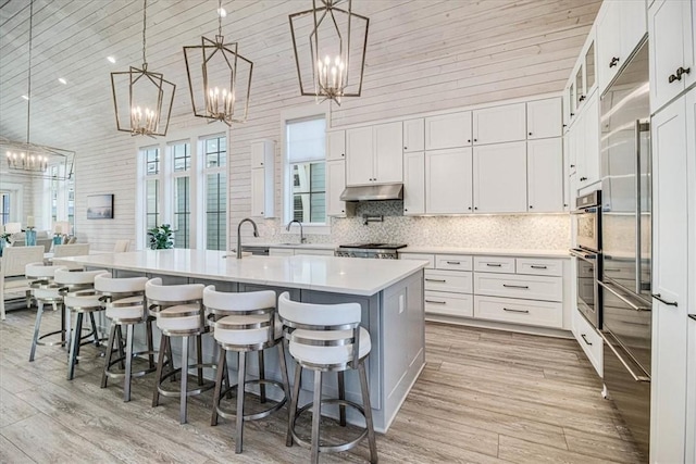 kitchen featuring tasteful backsplash, light wood-style floors, light countertops, a large island with sink, and under cabinet range hood