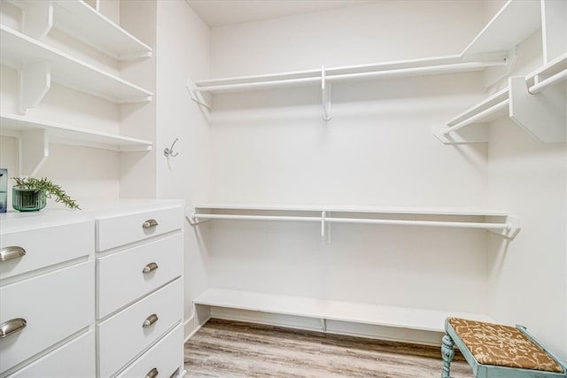 walk in closet with light wood-style flooring