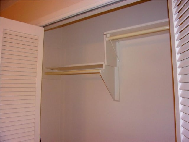 view of closet