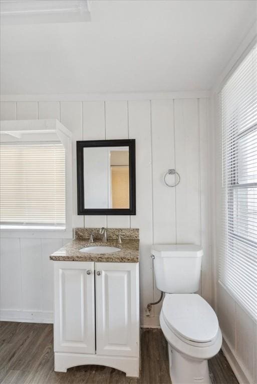 bathroom with wood-type flooring, vanity, and toilet