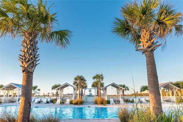 view of pool featuring a patio