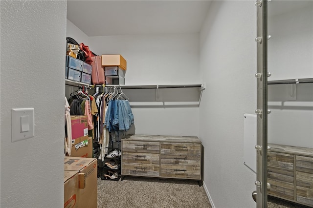 spacious closet with carpet flooring