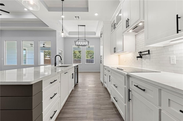 kitchen featuring white cabinetry, a raised ceiling, and sink