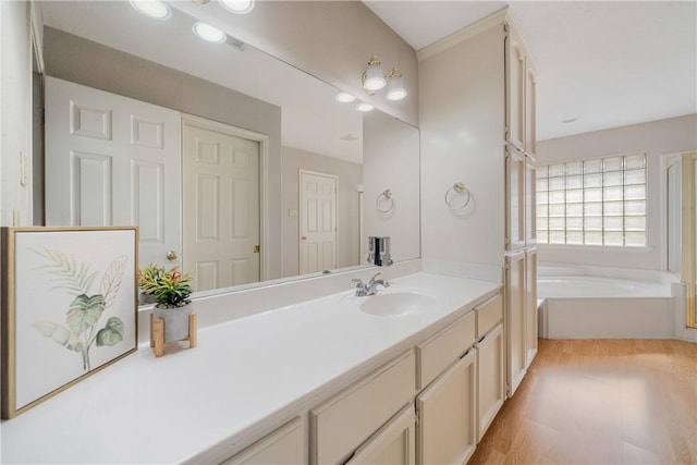 bathroom with vanity, wood-type flooring, and a washtub