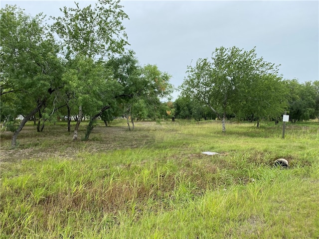 Listing photo 2 for 0 Cemetery, Sinton TX 78387